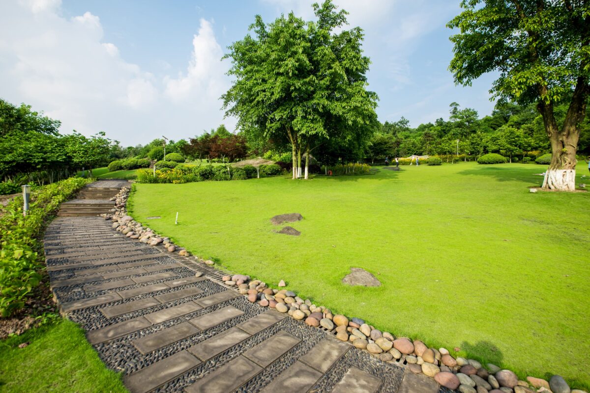 grassland-landscape-and-greening-environment-park-background-min (1)