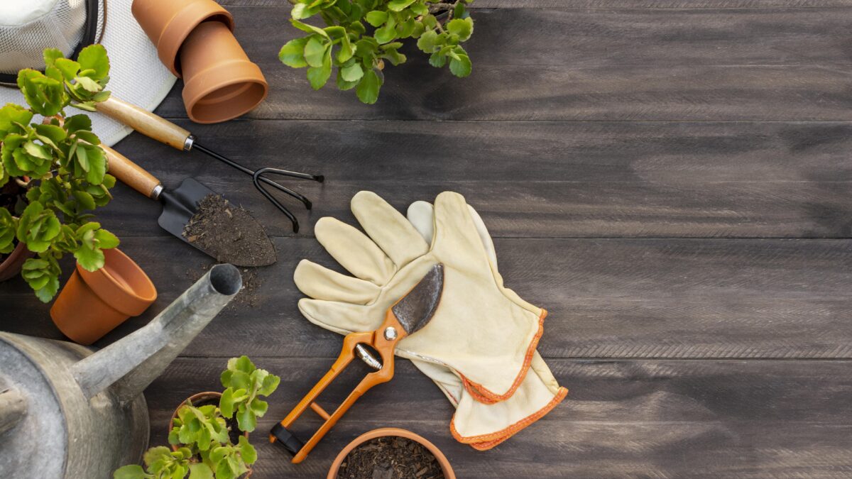 plants-gardening-tools-close-up-min