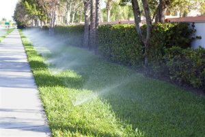 Bonus Verde e Giardini: tutte le agevolazioni per irrigazioni, recinzioni e pareti verdi - Ediltecnico.it - il quotidiano online per professionisti tecnici - NEWS110