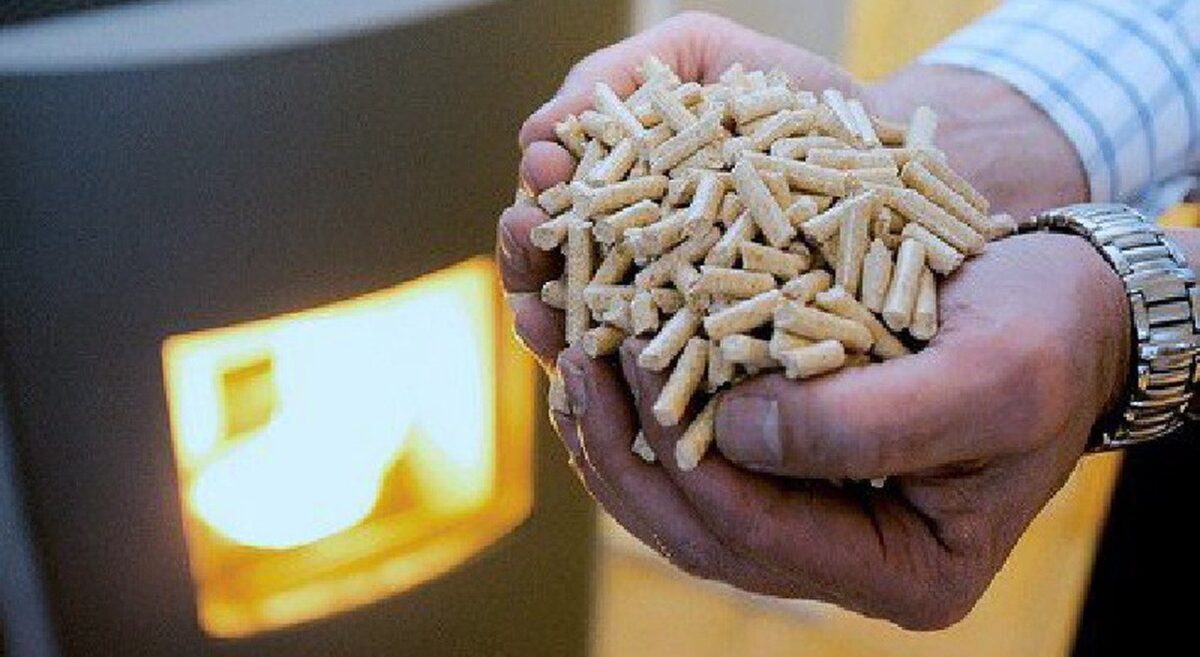 Pellet introvabile, scorte finite e aumenti del 150%. Zaia: «In Austria c'è e costa un terzo». La protesta cre - ilgazzettino.it