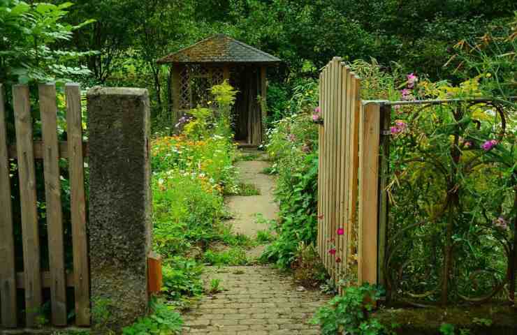 Un giardino bisognoso di cure