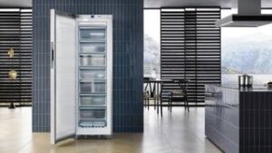 Come scegliere il congelatore, con consumi ridotti e usufruendo del bonus - Cose di Casa