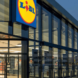 Lavoro Catania e provincia: LIDL, MediaWorld e Leroy Merlin assumono - Liveunict | Magazine sull'Università di Catania