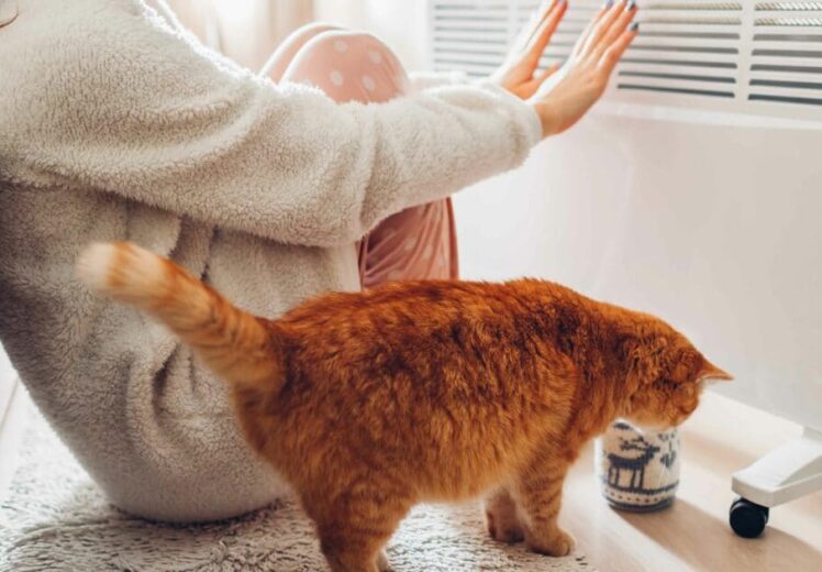 Pompa di calore per risparmiare: pro e contro - Donna Moderna