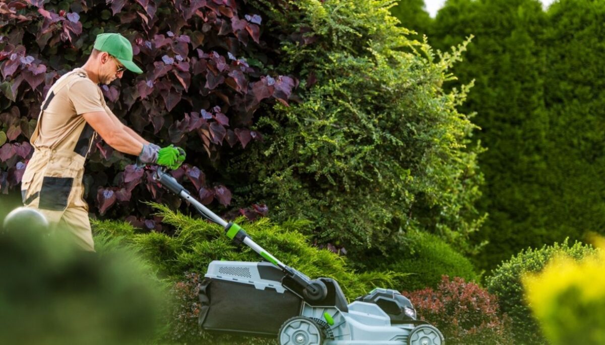 Vuoi un giardino sempre pulito e ordinato? Ecco quanto costa un giardiniere e come risparmiare - PgCasa