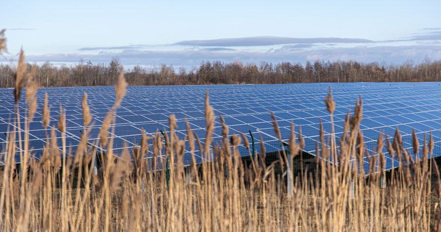 Impianti fotovoltaici: stop all'installazione nelle zone agricole