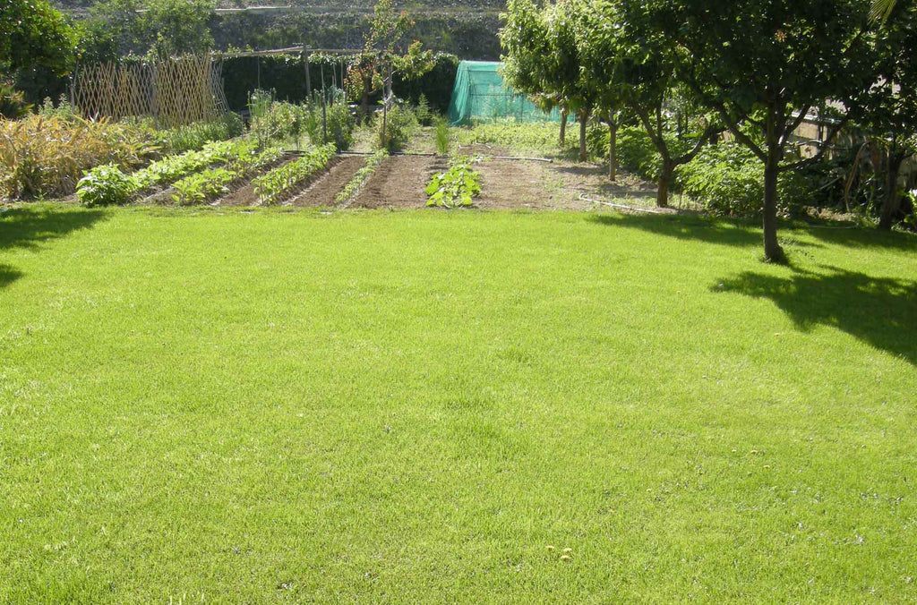 Bonus verde per giardini e terrazze: come ottenere fino a 1.800 euro