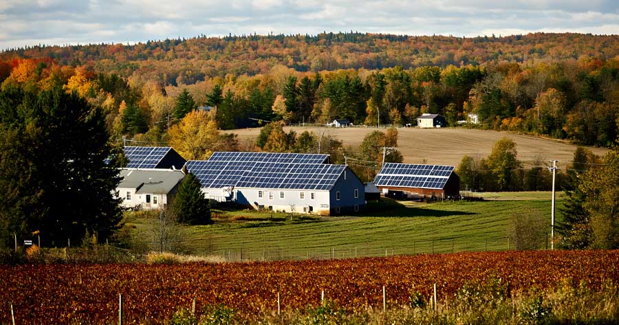 Parco Agrisolare: attivo lo sportello per le richieste