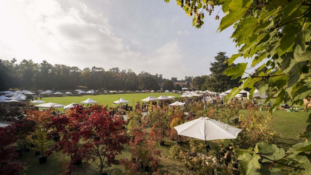 Bonus verde 2024, come ottenere l’agevolazione per terrazze e giardini: a chi spetta e cosa comprende