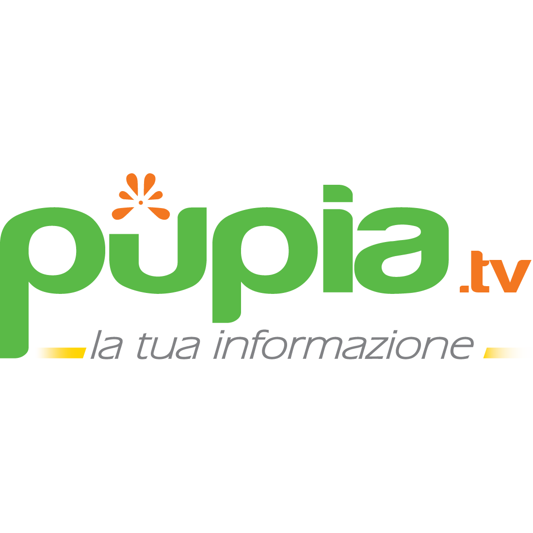 Frode sul Superbonus 110%: nei guai società di costruzioni e un professionista - Pupia.tv