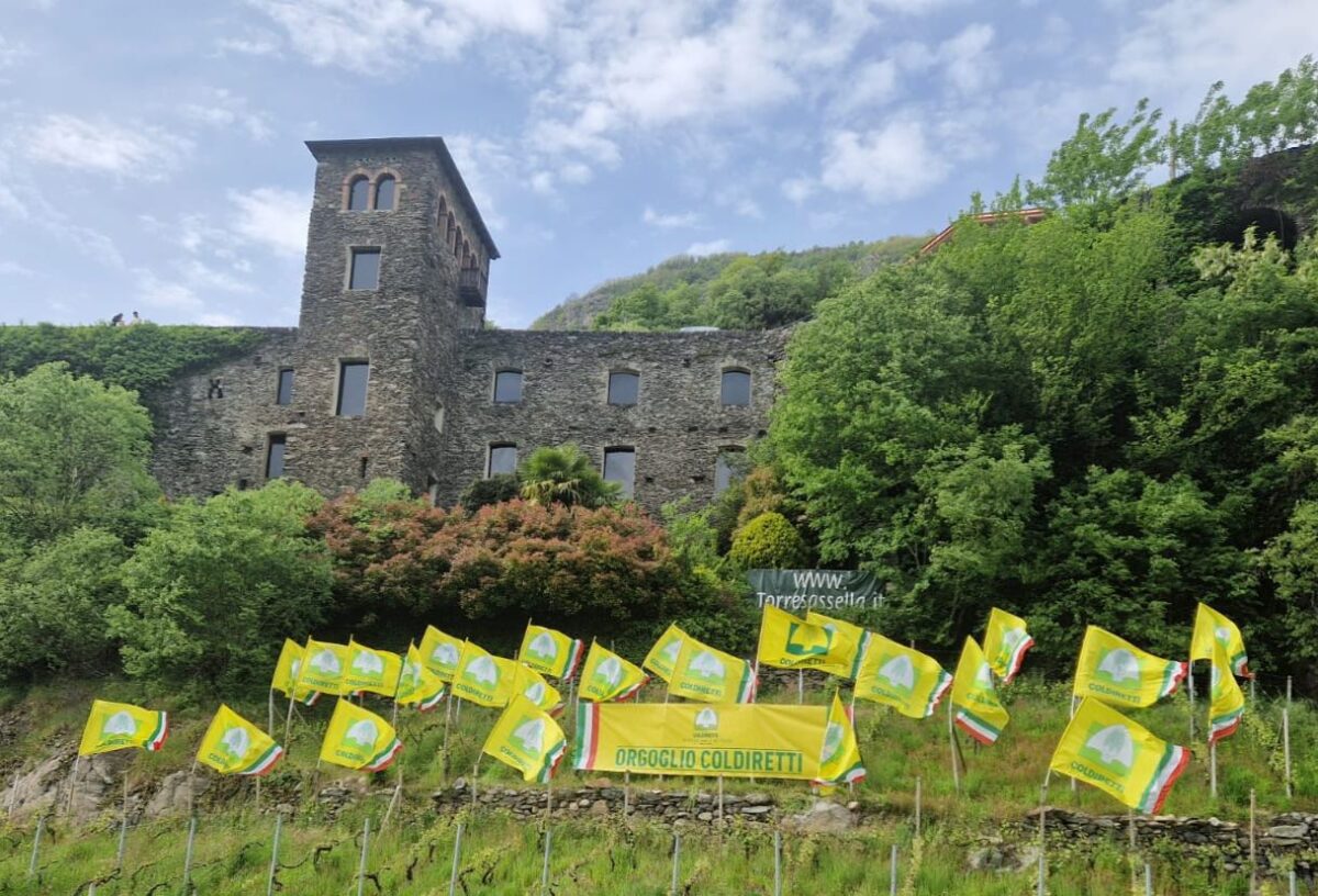 Milleproroghe da norma lavoro occasionale a bonus verde, servono misure per imprese agricole - Valtellina News