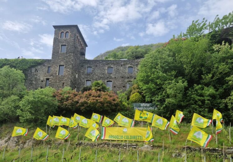 Milleproroghe da norma lavoro occasionale a bonus verde, servono misure per imprese agricole - Valtellina News