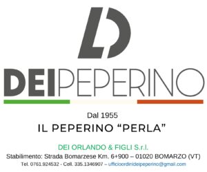 Roma, truffa sul Superbonus: sequestrati crediti per 16 milioni, 630 cantieri nel mirino - 7colli